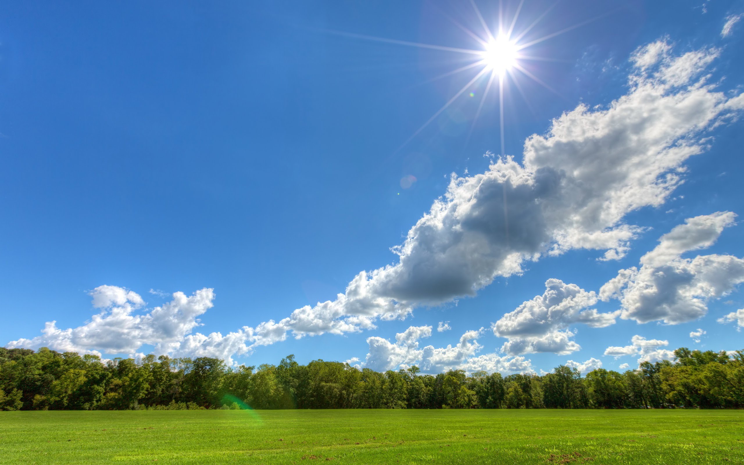 Sun shining over a large, empty field of grass.